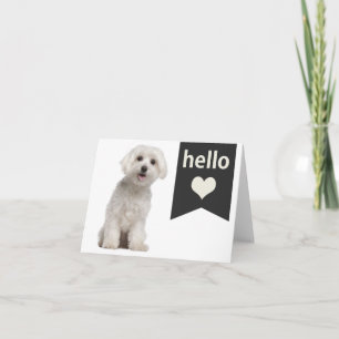 Carte de vœux vierge Chien Maltais blanc Hello