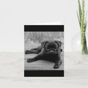 Carte de vœux vierge Chien Pug noir et blanc
