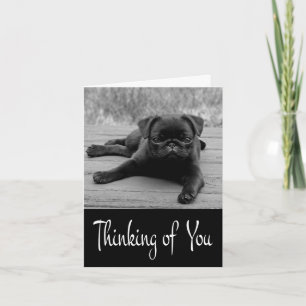 Carte de vœux vierge Chien Pug Pensée pour Vous