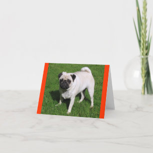 Carte de vœux vierge Chien Pug Puppy