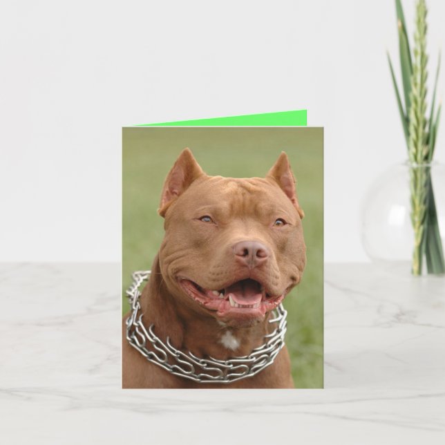 Carte de vœux vierge chiot Pitbull (Devant)