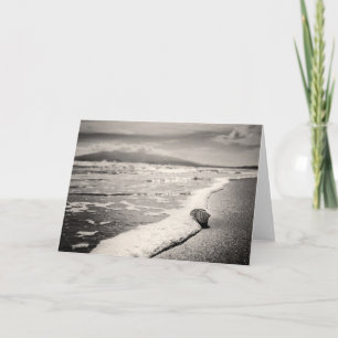 Carte de voeux vierge - coquille de mer sur la