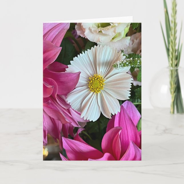 Carte de vœux vierge Cosmos d'été (Devant)