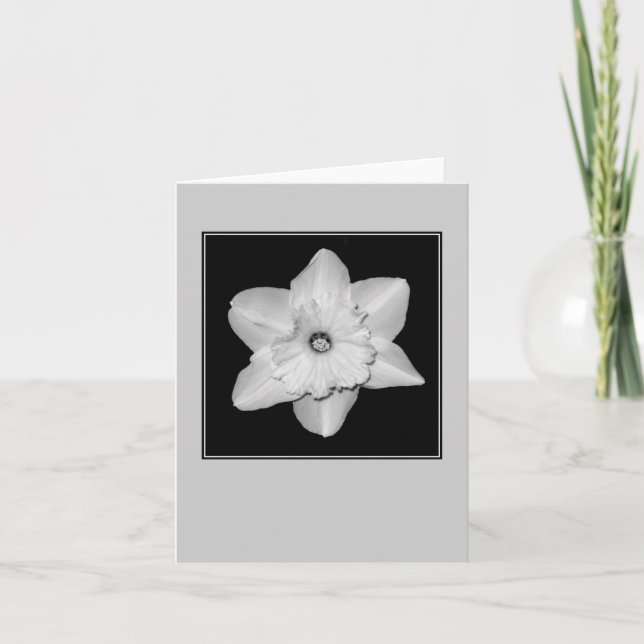 Carte de vœux vierge Daffodil en gros plan (N&B) (Devant)