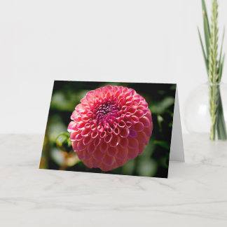 Carte de vœux vierge Dahlia à boule rose
