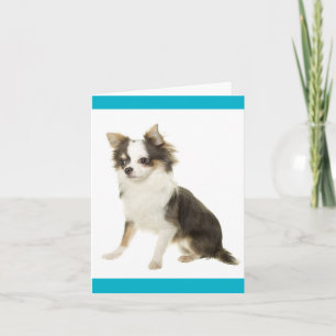 Carte de vœux vierge de chiot Chihuahua