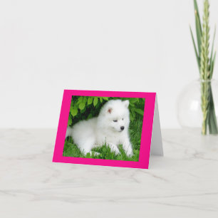 Carte de vœux vierge de chiot Samoyède blanc