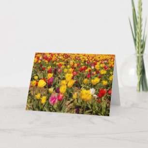 Carte de voeux vierge de la manie de Tulip