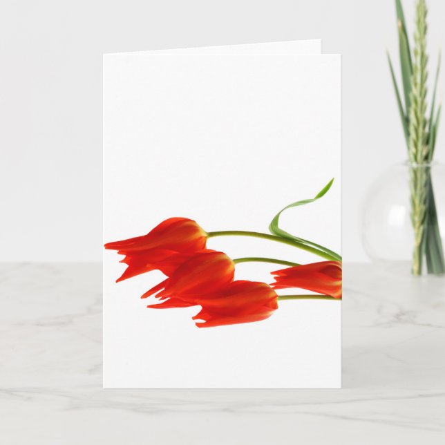 Carte de voeux vierge de tulipes (Devant)