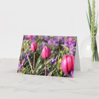 Carte de voeux vierge : Fleurs de ressort