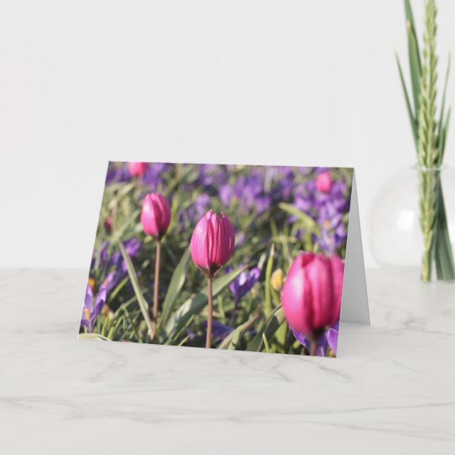 Carte de voeux vierge : Fleurs de ressort (Devant)