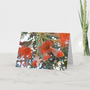 Carte de voeux vierge - fleurs oranges d'arbre de