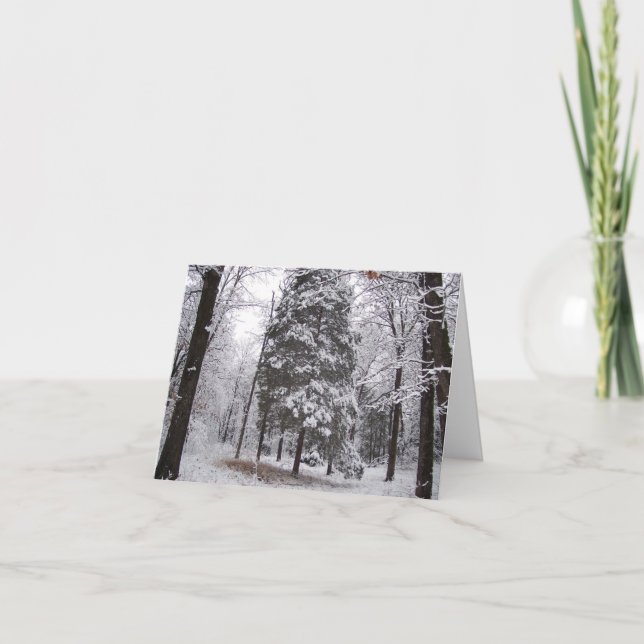 Carte de vœux vierge Forêt d'hiver (Devant)