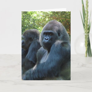 Carte de voeux vierge Gorilla