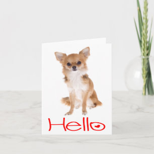 Carte de vœux vierge Hello Chihuahua chiot