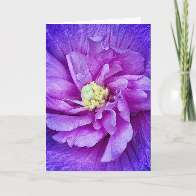 Carte de voeux vierge Hibiscus Lavender Chiffon (Devant)
