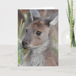Carte de voeux vierge - Kangaroo Joey