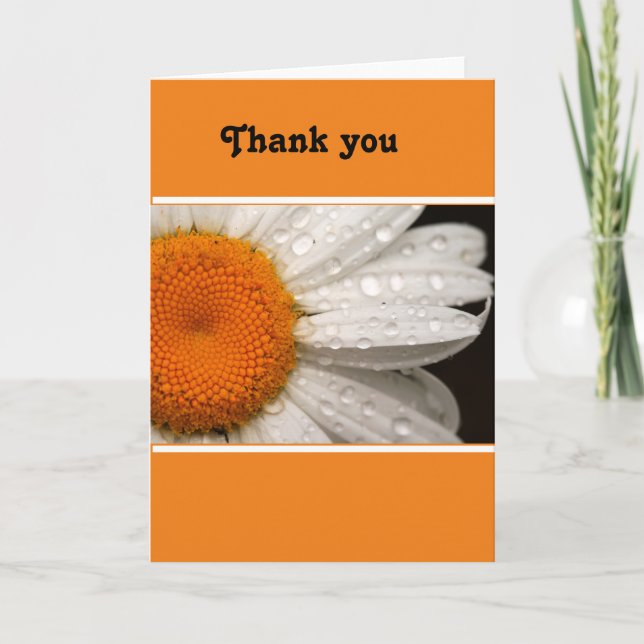Carte de voeux vierge Merci Daisy Summer Daisy (Devant)