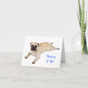 Carte de vœux vierge Pug Pensée pour Vous