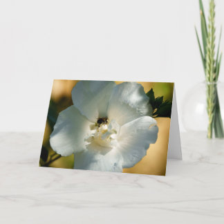 Carte de vœux vierge Rose de Sharon