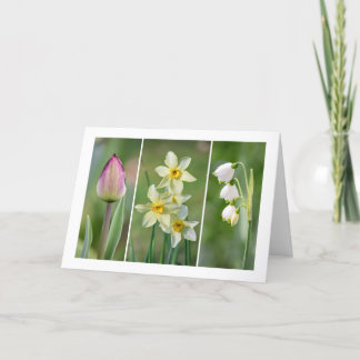 Carte de voeux vierge 'Spring Flowers'
