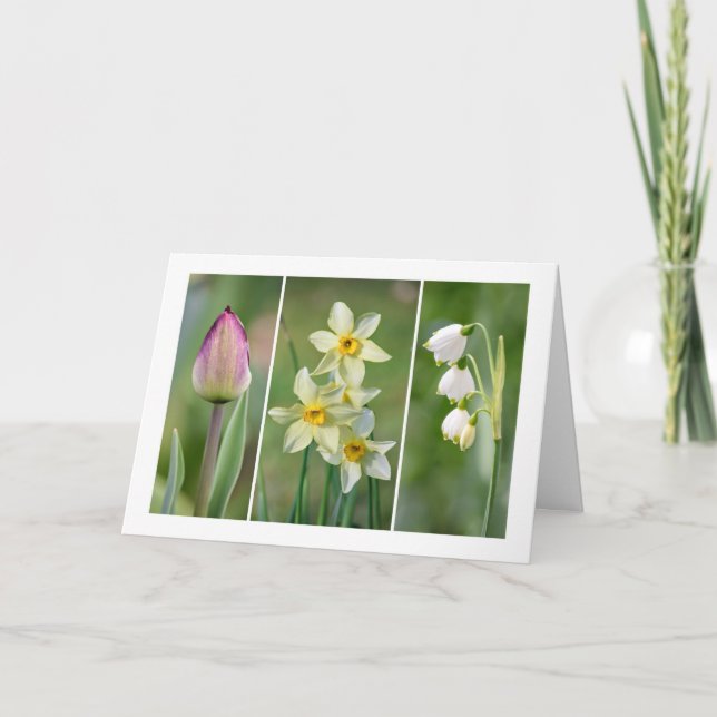 Carte de voeux vierge 'Spring Flowers' (Devant)