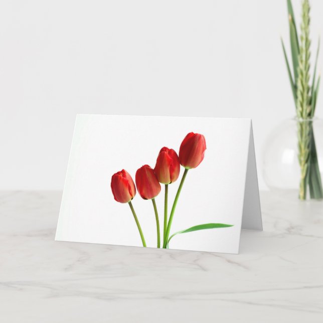 Carte de voeux vierge tulipes rouges (Devant)