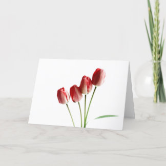 Carte de voeux vierge tulipes rouges
