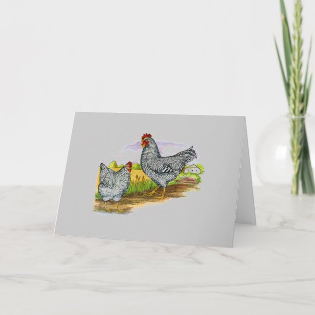 Carte de voeux vintage de poulets de style (Devant)