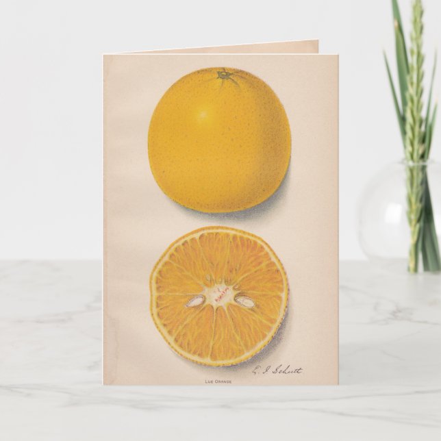 Carte de voeux vintage d'oranges (Devant)
