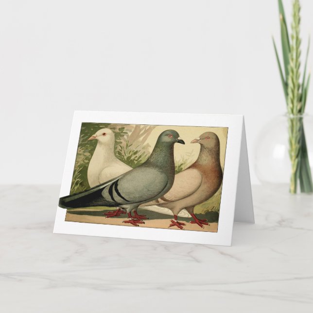 Carte de voeux vintage Pigeons (Devant)