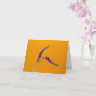 Carte de voeux violet Veronicas