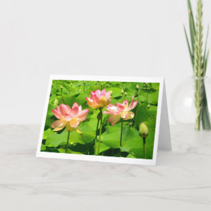 Carte de voeux Water Lily