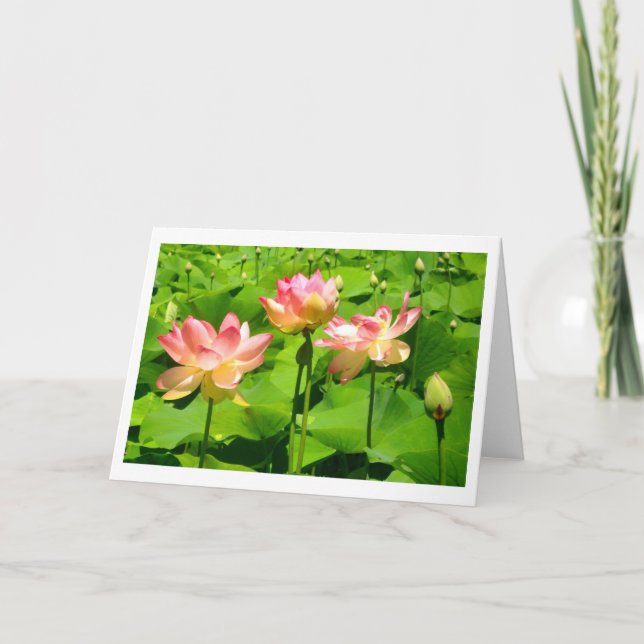 Carte de voeux Water Lily (Devant)