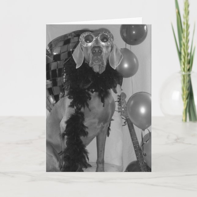Carte de voeux Weimaraner (Devant)
