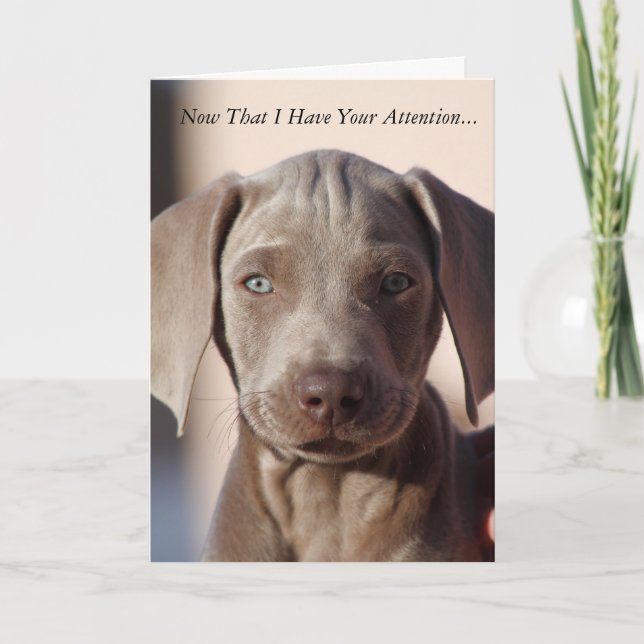 Carte de voeux Weimaraner "You Are The Best" (Devant)