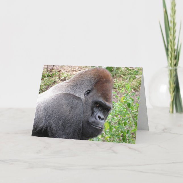 Carte de voeux Western Lowland Gorilla (Devant)