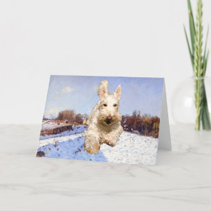 Carte de voeux Wheaten Scottish Terrier