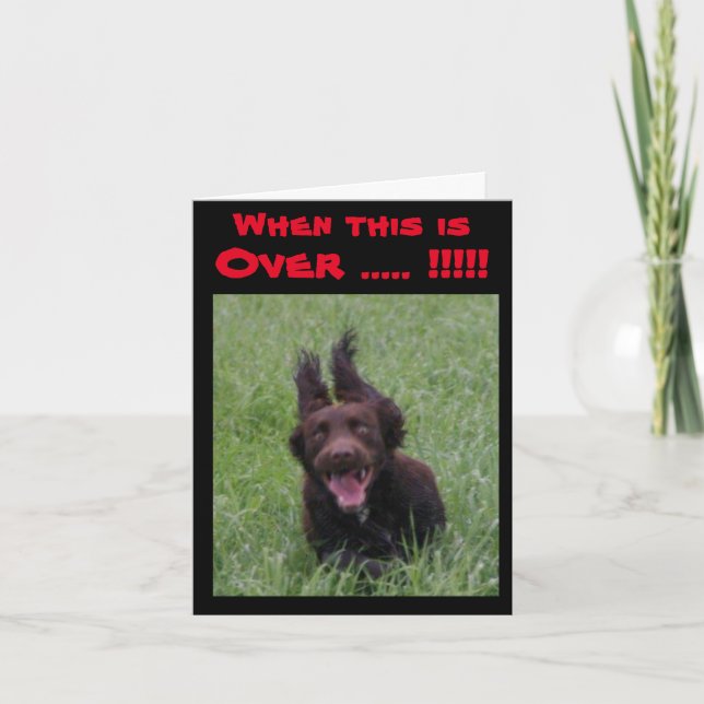carte de voeux when this is over avec chien extati (Devant)
