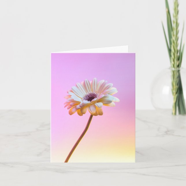 Carte de voeux White Gerbera Daisy (Devant)