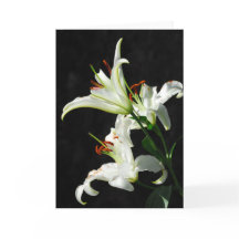 Carte de voeux White Lilies