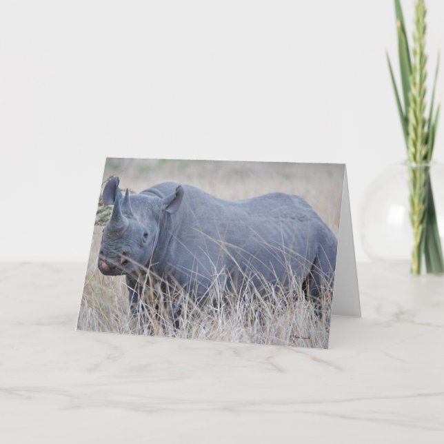 Carte de voeux White Rhino (Devant)