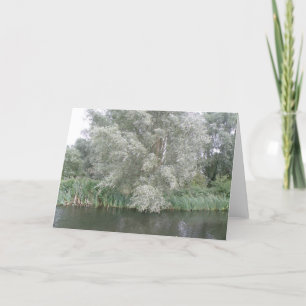 Carte de voeux White Tree and River Landscape