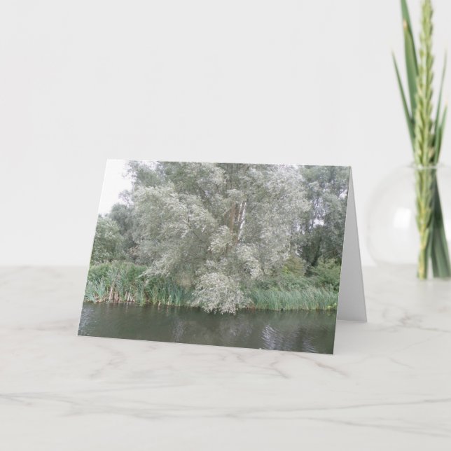 Carte de voeux White Tree and River Landscape (Devant)
