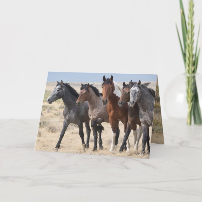 Carte de vœux Wild Boys of Lost Creek (Devant)