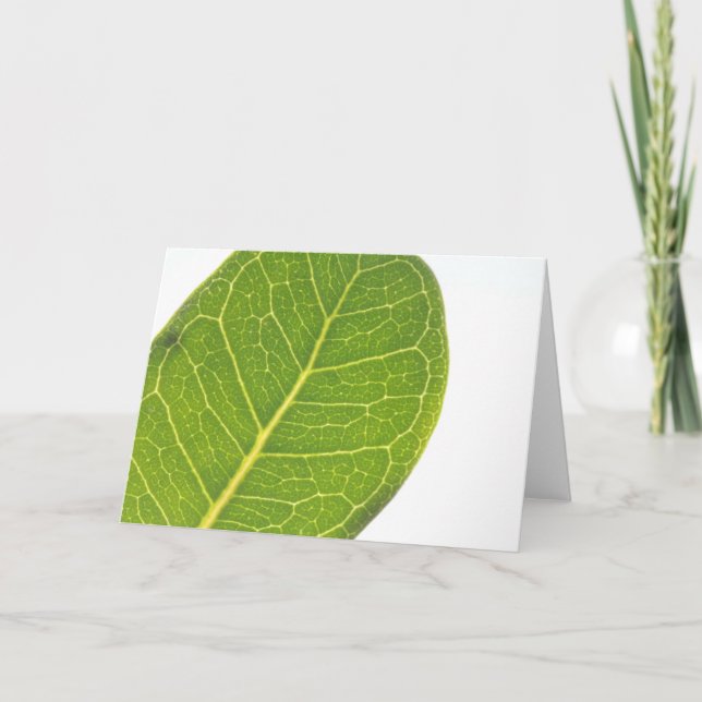 Carte de voeux Wild Fig Rich Green Leaf Texture (Devant)