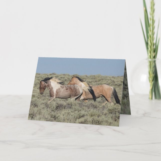 Carte de voeux Wild Horse Deux Stallions colorés (Devant)