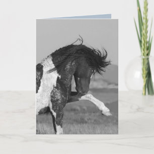 Carte de voeux Wild HOrse en noir et blanc