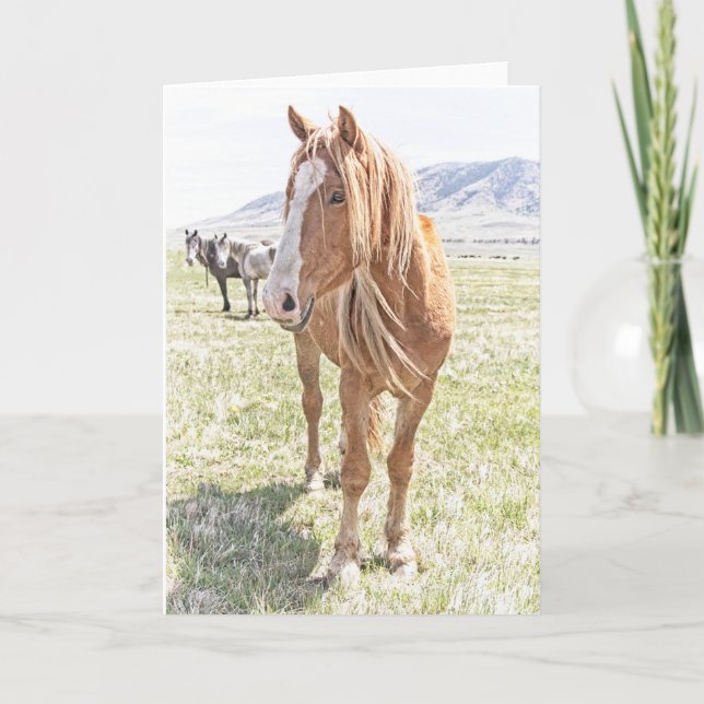 Carte de voeux Wild Horse Mustang (vide à l'intéri (Devant)