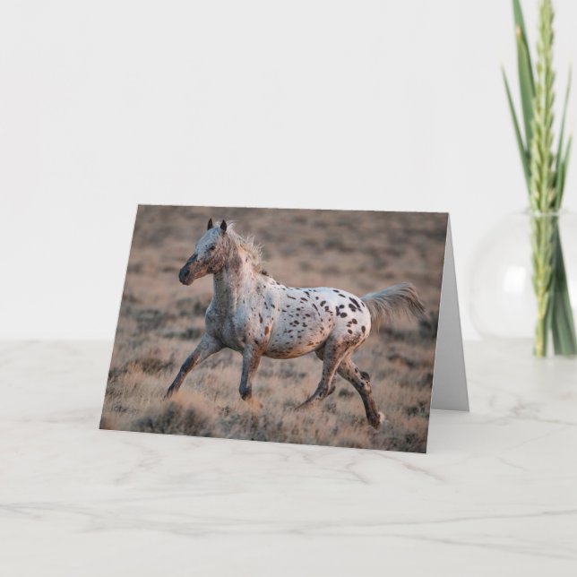 Carte de voeux Wild Horse Regarder Trots de verre (Devant)